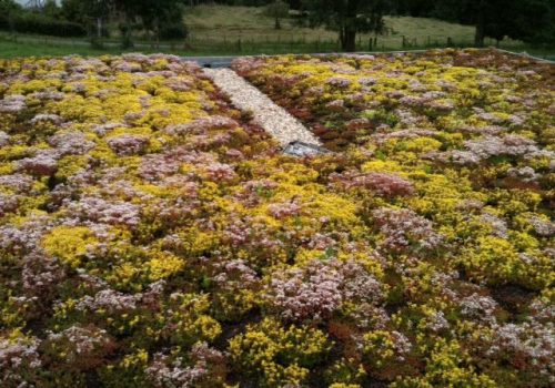 Sarlande