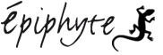 epiphyte-logo